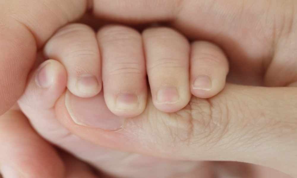 Ohio: ley requiere que fetos de aborto sean incinerados o enterrados