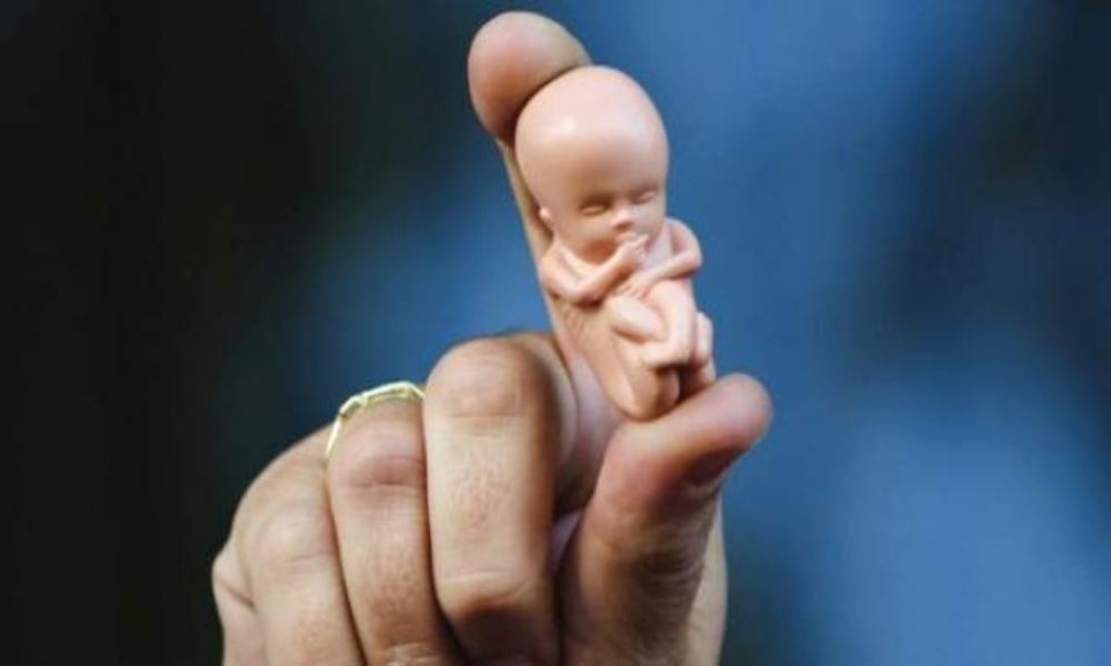 Administración de Biden intenta quitar los obstáculos al aborto