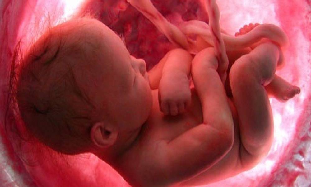 Pensilvania: corte falla en contra de las clínicas que exigen fondos para el aborto