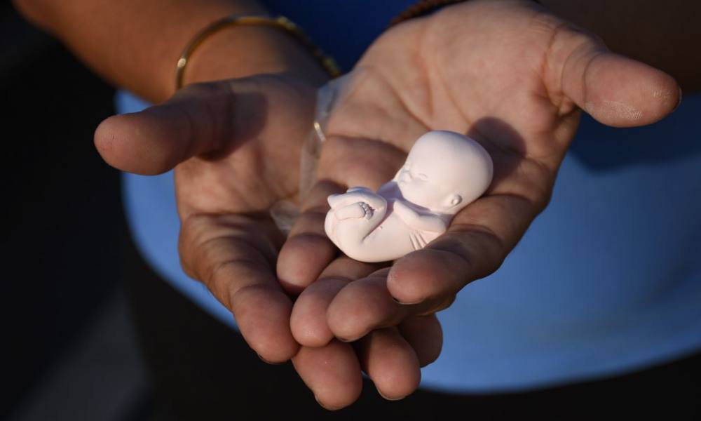 Texas: clínica de abortos mató a 67 bebés antes del inicio de la nueva ley