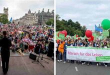 Miles de cristianos marcharon en contra del aborto en Europa