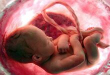 Ohio: impulsan ley que prohibiría la mayoría de los abortos