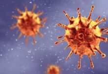 ¿Es el coronavirus una señal del fin de los tiempos?