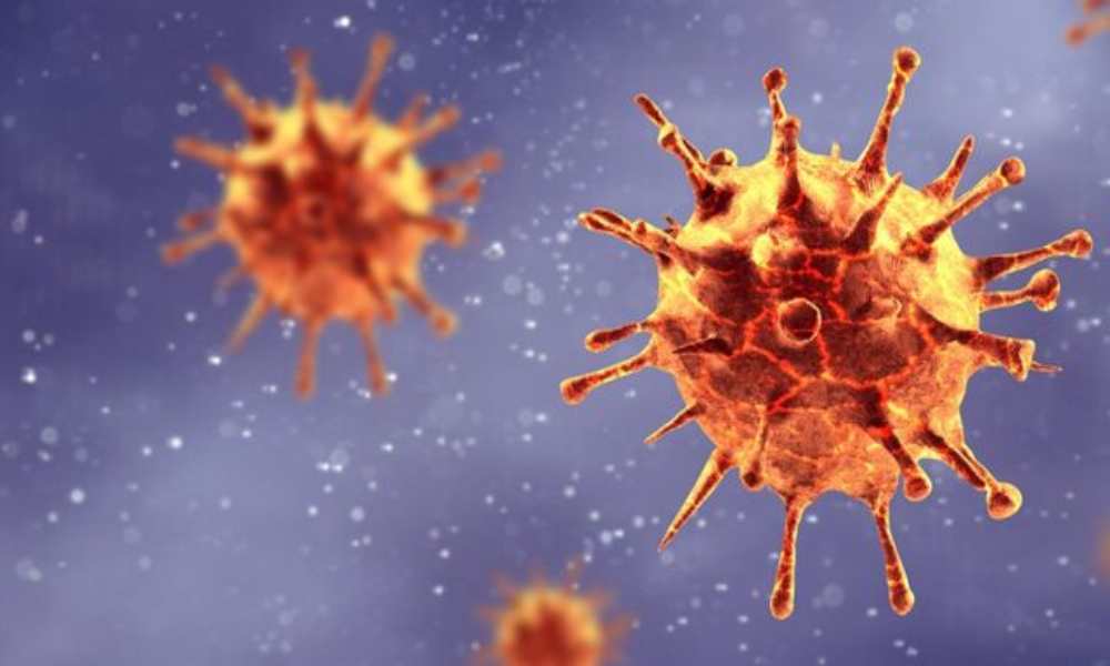 ¿Es el coronavirus una señal del fin de los tiempos?