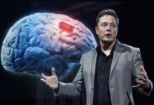Neuralink de Elon Musk empieza a implantar chips en cerebros humanos