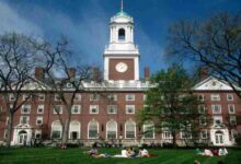 Estudiante de Harvard proclama la fe en Jesús en el sitio web de la universidad