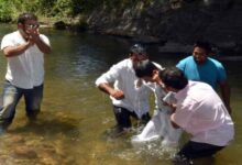 Misioneros Bautistas del Sur aumentan su cifra de bautizos y conversiones