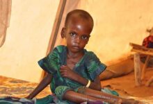 Iglesia pide ayuda para alimentar a personas y animales en Etiopía