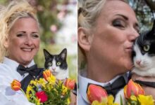Antibíblico: Mujer decide casarse con su gato en Londres
