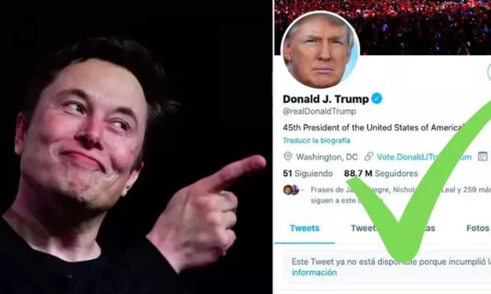 Elon Musk promete restablecer la cuenta de Twitter de Donald Trump