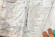 Encuentran Biblia intacta tras un deslizamiento de tierra en Pernambuco