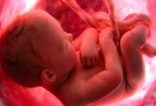 930 mil bebés fueron abortados en 2020 en los Estados Unidos