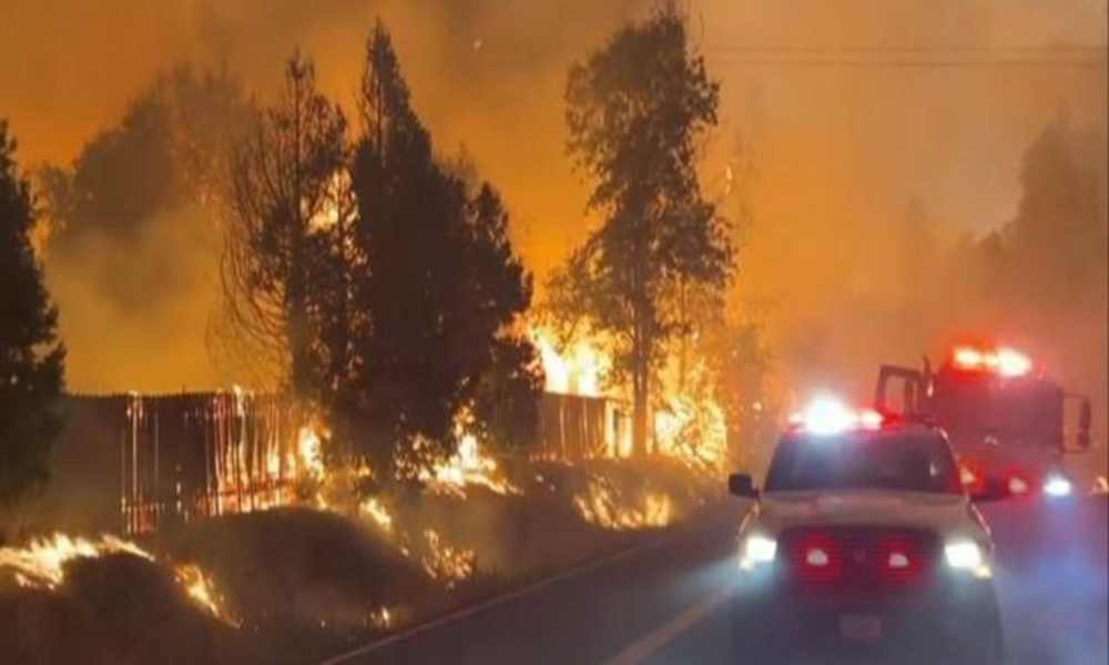 Gobernador declara emergencia por incendio forestal cerca de Yosemite