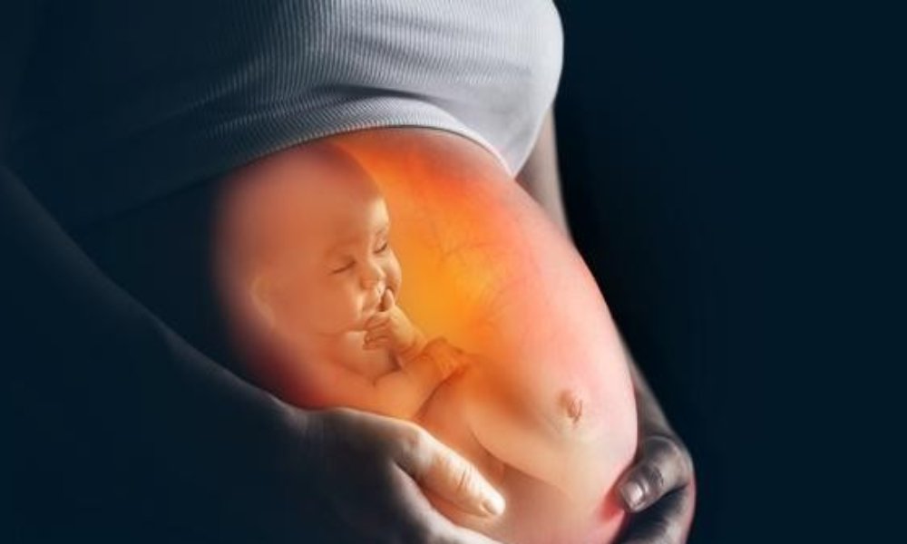 ¿El mandamiento “no matarás” aplica para el aborto?