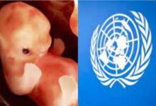 Asamblea General de la ONU quiere declarar el aborto ‘derecho humano’