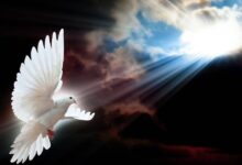 ¿Cuál es el rol del Espíritu Santo en el mundo?