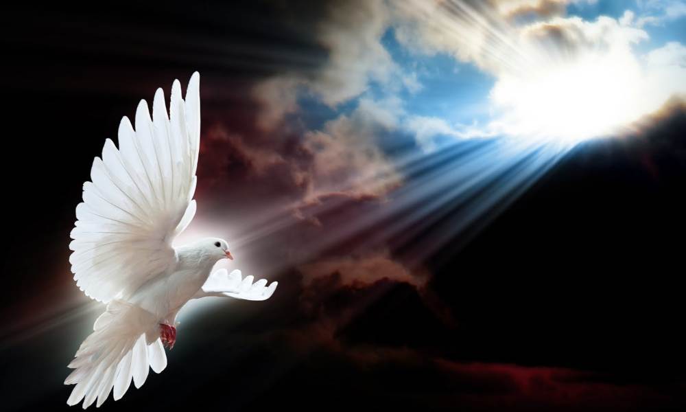 ¿Cuál es el rol del Espíritu Santo en el mundo?