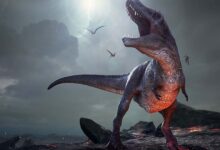 ¿Los dinosaurios desaparecieron en el diluvio?