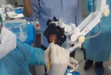 Por primera vez en el mundo, científicos venezolanos regeneran un diente «muerto”