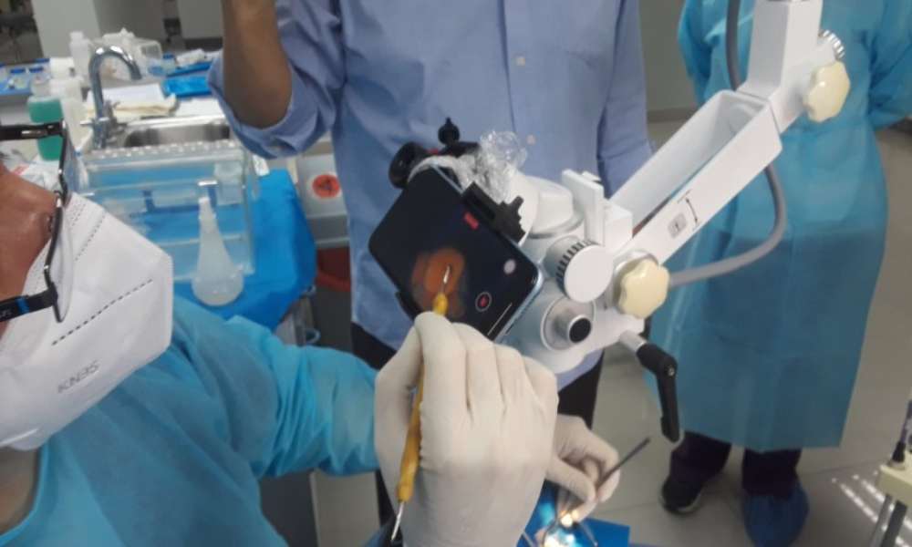 Por primera vez en el mundo, científicos venezolanos regeneran un diente «muerto”