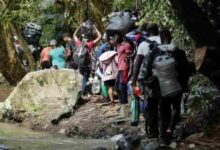 Hallan 18 cadáveres de venezolanos en la selva del Darién