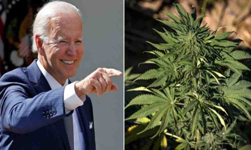 Biden perdona a miles por ‘simple posesión’ de marihuana