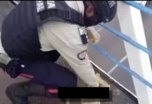 Venezolana con hambre intentó comerse a un perro atropellado