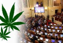 Avanza en el Congreso de Colombia la despenalización del uso de marihuana