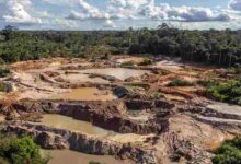Piden a Maduro parar la minería en la Amazonía