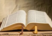 Pastor: «cristianos no deben obsesionarse con el fin»