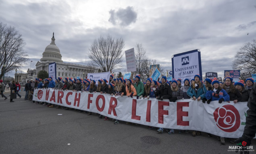 Estados Unidos celebró la “Marcha por la Vida 2023” en Washington DC