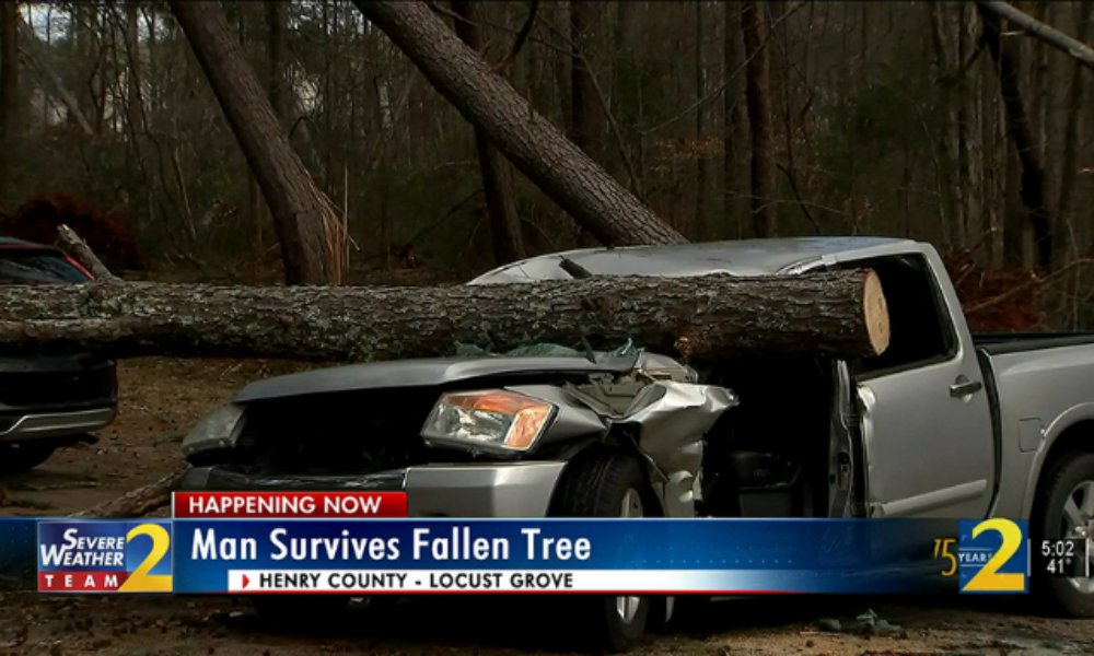 Hombre a quien un árbol aplastó su auto sobrevive después de orar