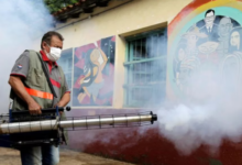 Paraguay acumula 22 muertes por chikungunya en lo que va del 2023