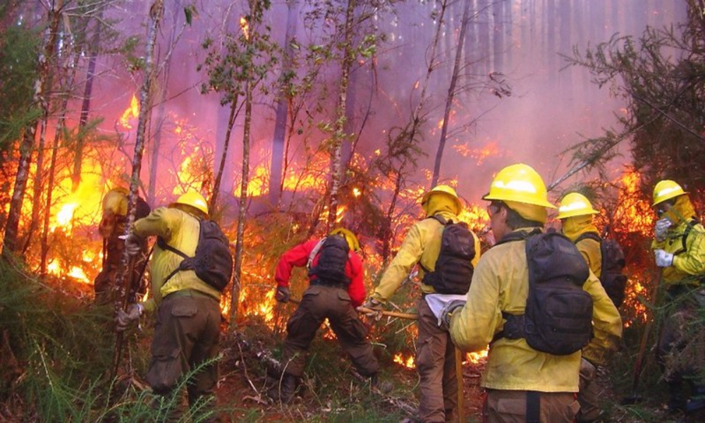 Bomberos luchan contra una treintena de incendios forestales en Australia