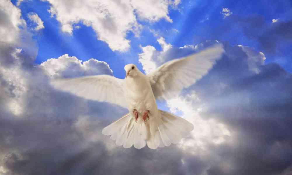 ¿Cómo nos ayuda el Espíritu Santo a salir adelante cada día?      