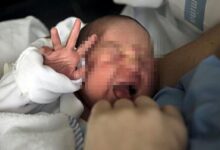 Nace el primer bebé en Reino Unido con el ADN de tres personas