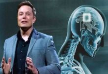 Chip cerebral: Elon Musk obtiene aprobación para comenzar ensayos en humanos