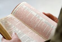 Escuela primaria prohíbe la Biblia por “vulgaridad y violencia”