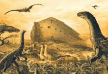 Científico: «Dinosaurios fueron enterrados en el diluvio universal»