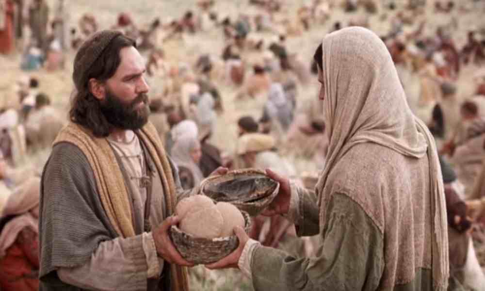 Devocional Bíblico: Confianza en la provisión divina