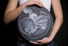 Eugenésica: IA determinará embriones perfectos para embarazo
