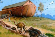 “Struck the Series”, una emocionante serie sobre el arca de Noé