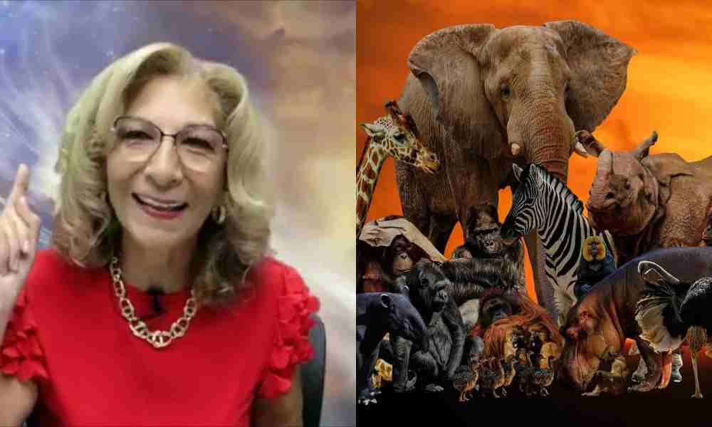 Ana Méndez dice que los animales establecerán la justicia de Dios