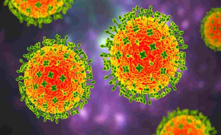 Hay un nuevo brote en India del virus letal Nipah