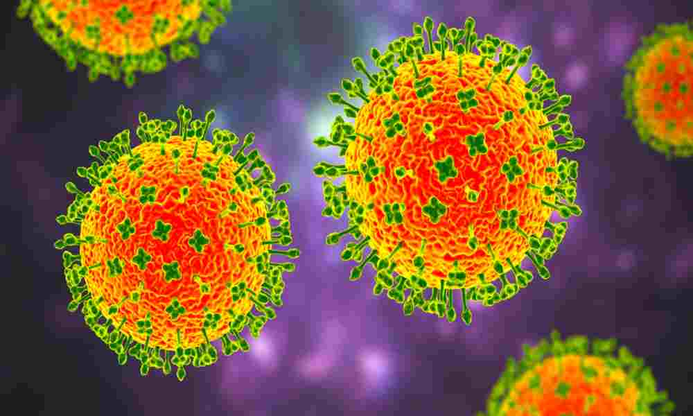 Hay un nuevo brote en India del virus letal Nipah