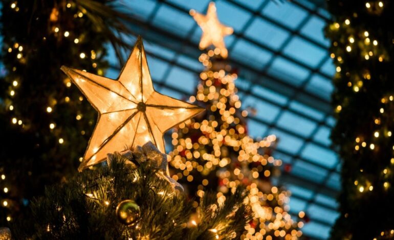 La antigua historia pagana y la evolución del significado del árbol de Navidad