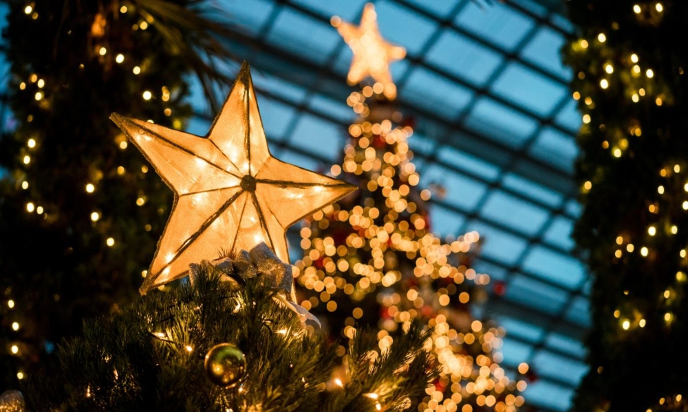 La antigua historia pagana y la evolución del significado del árbol de Navidad