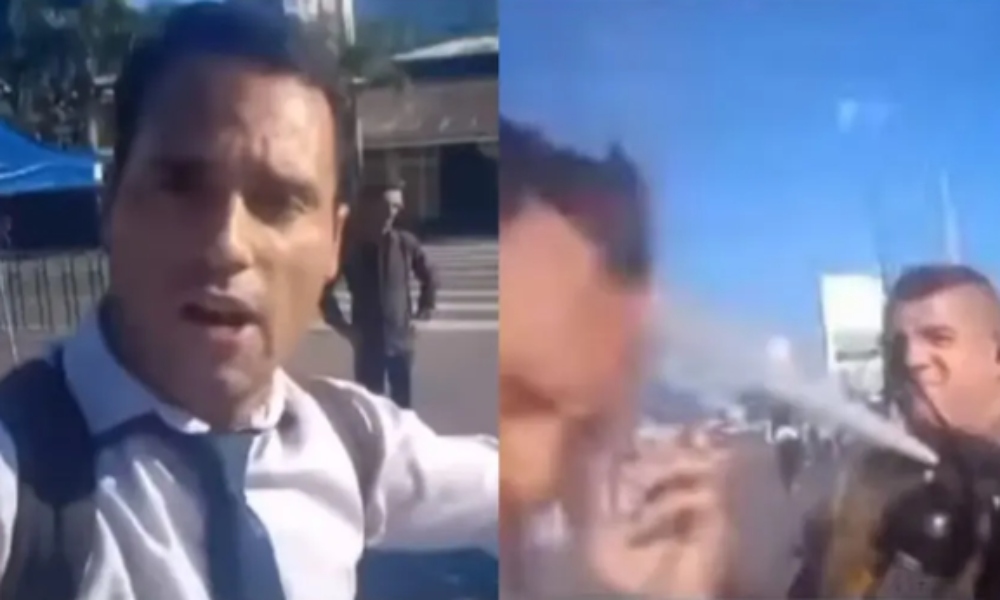 perro-callejero-blend-malbec-clubdevino-ar